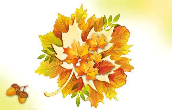 Autumn, leaves, collage, acorns