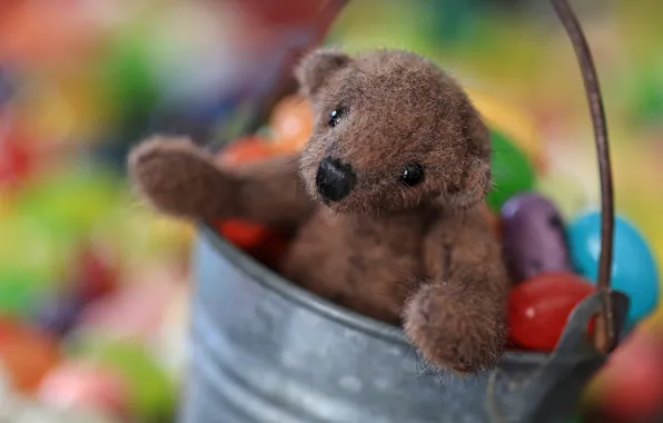 Look, childhood, background, toy, legs, bear, muzzle, candy