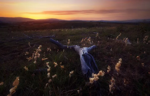 Picture field, summer, the sky, sunset, mountains, hills, vegetation, the evening