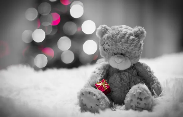 Picture gift, bear, bear, fur, bokeh, sad