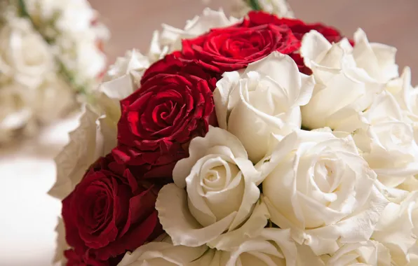 Flowers, red, roses, bouquet, petals, white, buds