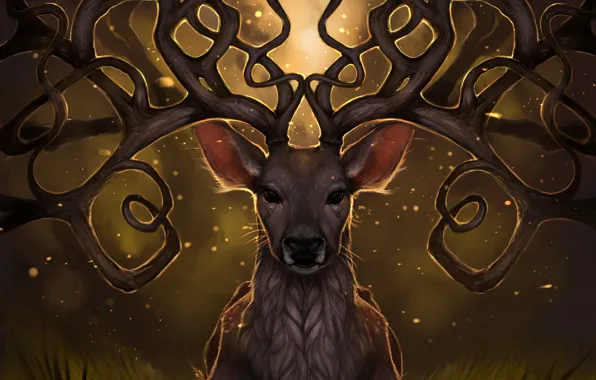 Picture grass, light, fireflies, deer, art, horns, rajewel