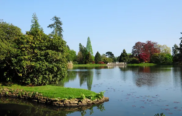 Nature, pond, Park, photo, England, Sheffield