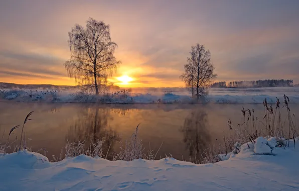 Picture winter, snow, trees, landscape, nature, river, dawn, morning