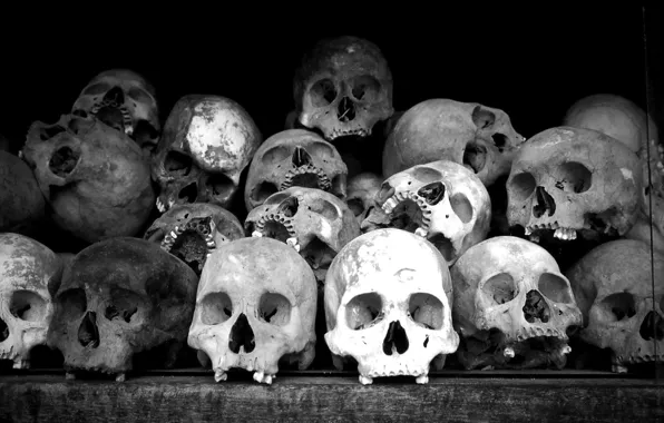 Black and white, composition, bones, skull