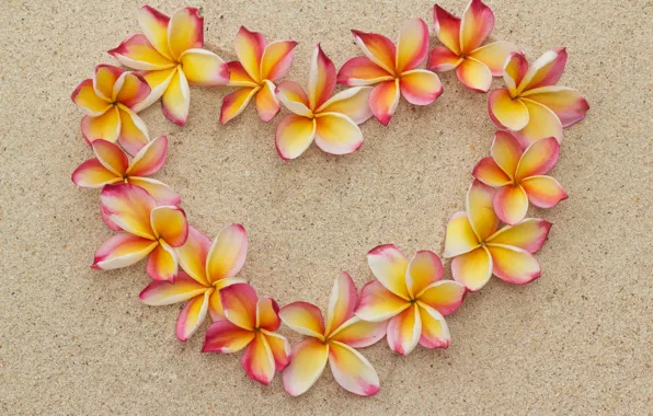 Sand, beach, flowers, heart, love, beach, heart, flowers