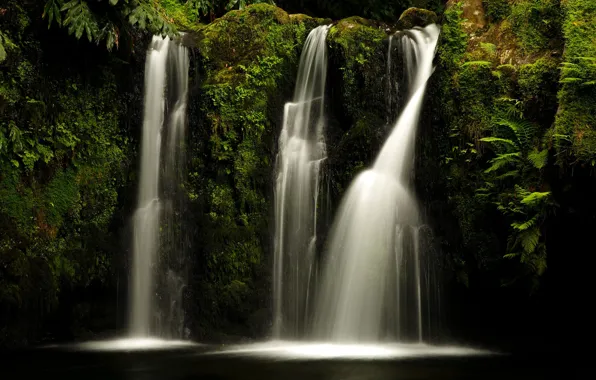 Rocks, waterfall, stream, fern