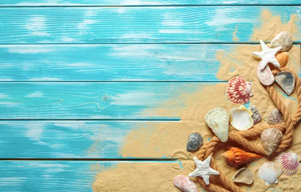 Sand, beach, summer, stars, shell, summer, beach, wood