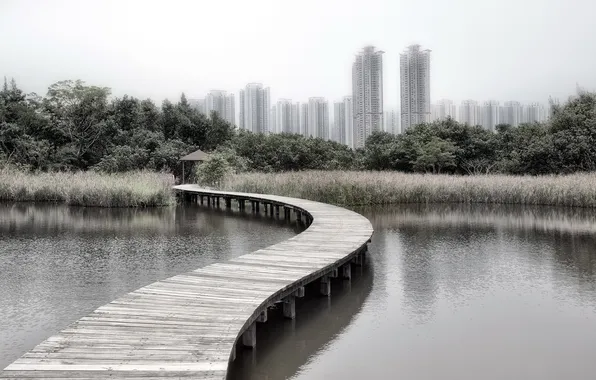 The city, Hong Kong, Wetland Park