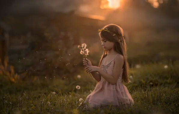 Light, dandelion, girl, wreath
