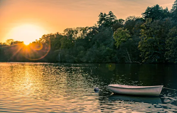 Picture forest, summer, sunset, boat, pond