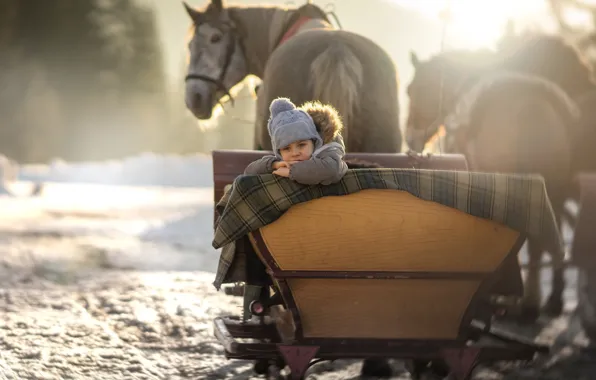 Winter, snow, baby, horse, sleigh