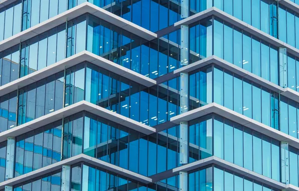 The building, Windows, skyscraper