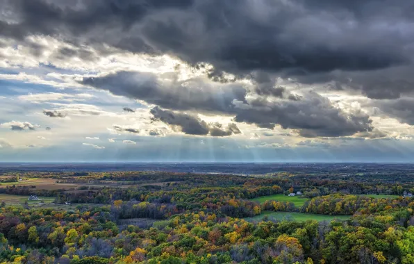 Picture autumn, forest, clouds, landscape, horizon