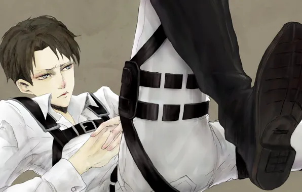 Guy, Attack Of The Titans, Shingeki No Kyojin, corporal Levi