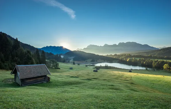 Greens, field, forest, summer, grass, the sun, rays, light