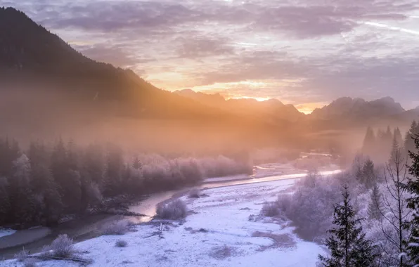 Picture winter, frost, forest, snow, mountains, fog, river, morning