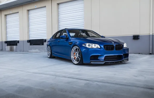 BMW, Blue, F10, Sight, LED