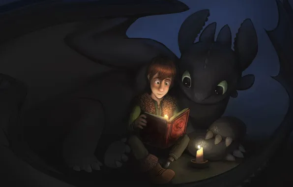 Picture Hiccup, Toothless, How to train your dragon, book., the night fury