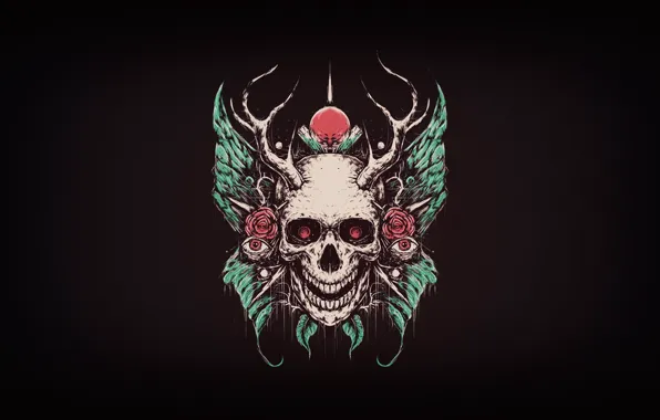 Minimalism, Skull, Style, Eyes, Background, Roses, Horns, Art