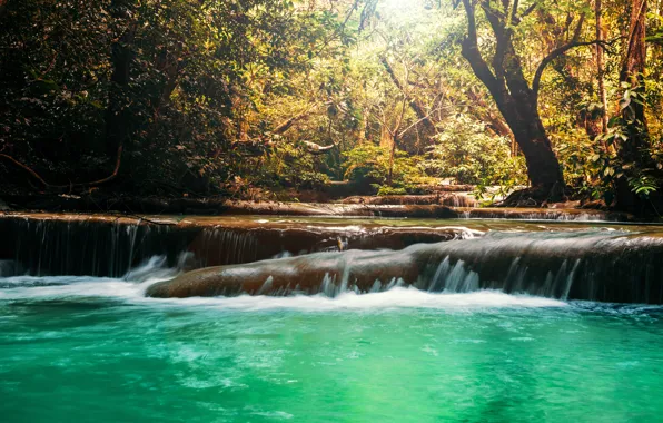 Autumn, forest, landscape, river, rocks, waterfall, forest, river