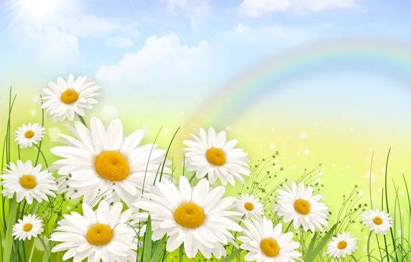 Grass, figure, chamomile, rainbow
