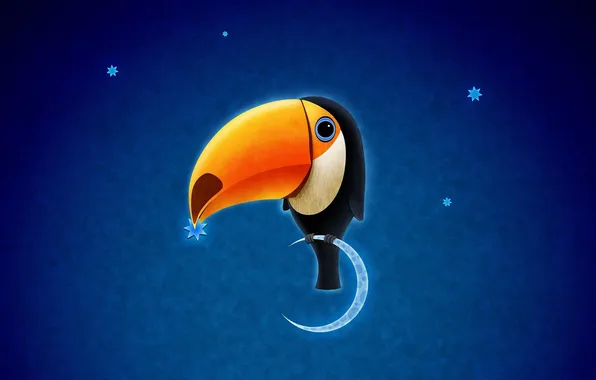 Star, a month, beak, Toucan