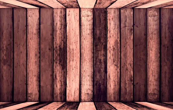 Tree, Board, structure