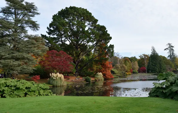 Autumn, lake, England, colors, autumn, lake, England, Park Sheffield