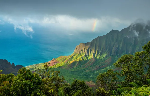 Forest, mountains, nature, the ocean, height