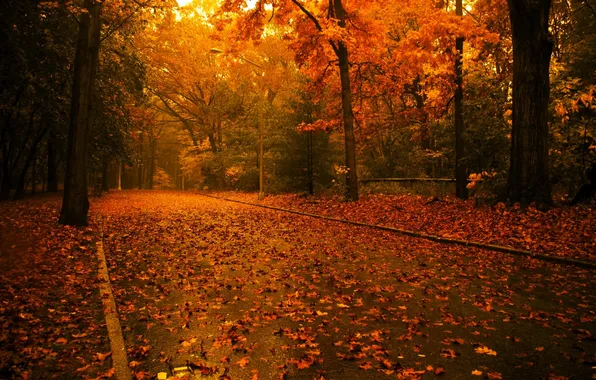 Road, autumn, forest, leaves, trees, Park, falling leaves