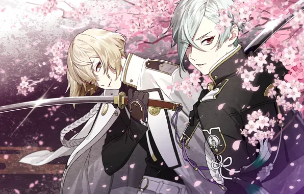 Sakura, guys, katana, samurai, nitroplus, touken ranbu, Dance of swords, higekiri