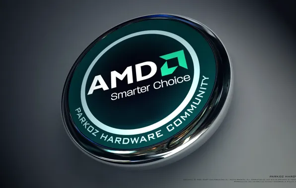 AMD, Dragon, processor