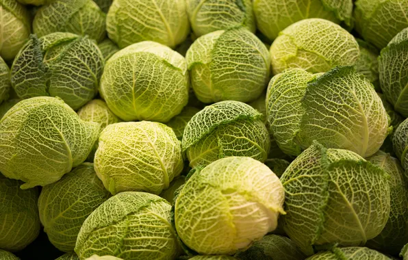 Picture background, food, cabbage
