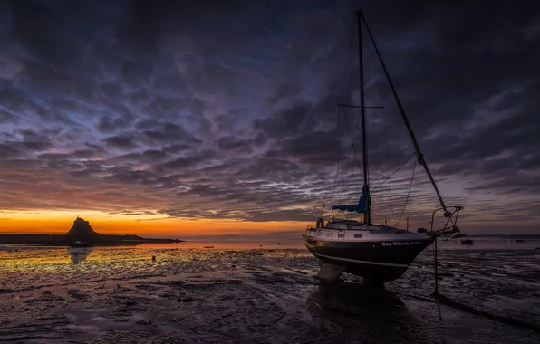 Picture sea, night, boat
