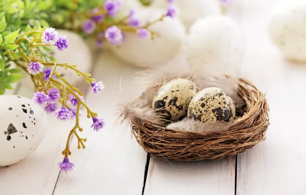 Picture flowers, feathers, Easter, socket, happy, flowers, spring, Easter