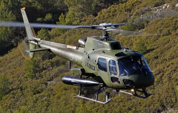 Picture trees, flight, helicopter, Eurocopter, laposte