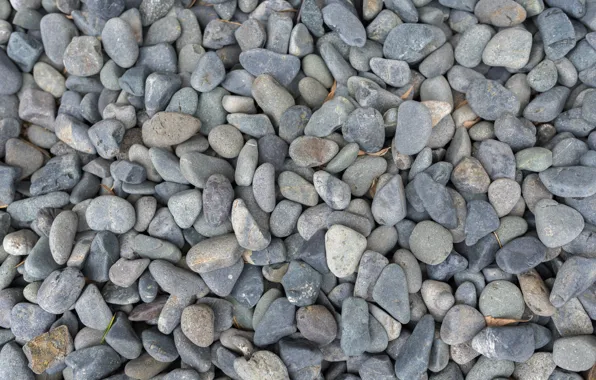 Beach, pebbles, stones, background, beach, texture, marine, sea