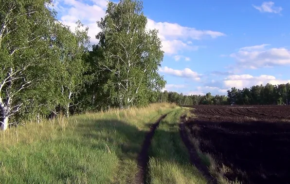 Summer, earth, arable land, Russian field