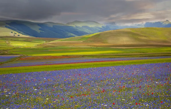 Field, the sky, grass, flowers, mountains, clouds, meadow, Italy