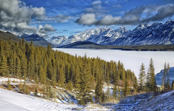 Picture winter, forest, the sky, clouds, snow, landscape, mountains, lake