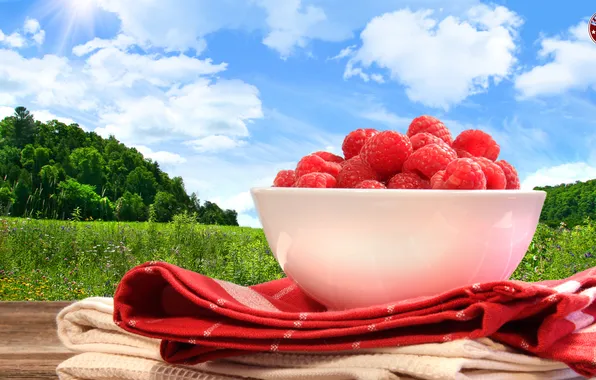 Picture nature, raspberry, berry