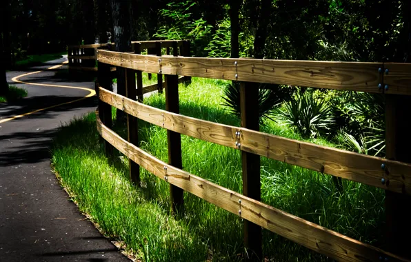 Road, forest, the fence