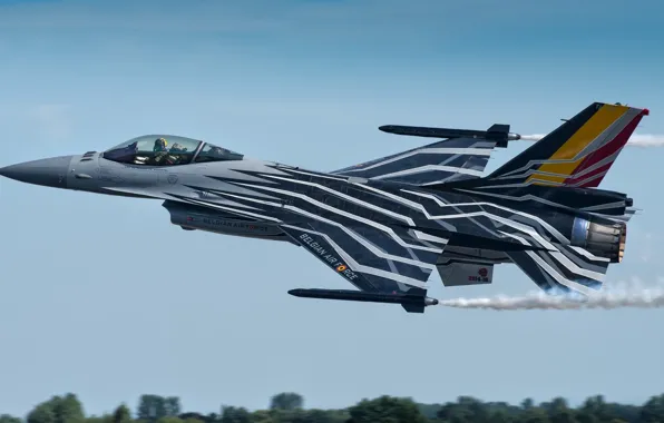 Tuning, the plane, combat, General Dynamics F-16AM Fighting Falcon
