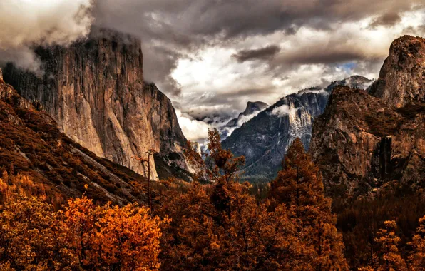 Autumn, trees, mountains, CA, USA, Yosemite, Yosemite National Park