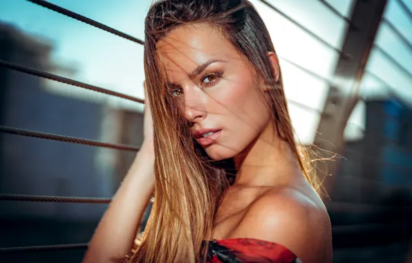 Picture look, the sun, model, portrait, makeup, the fence, hairstyle, brown hair