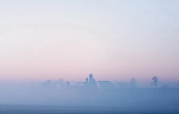 Picture field, landscape, fog