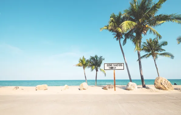 Sand, sea, wave, beach, summer, the sky, palm trees, shore