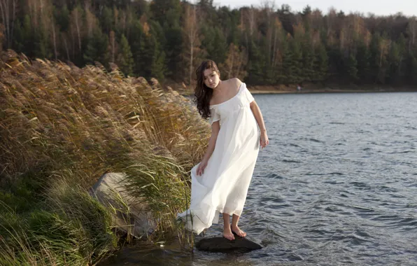 Picture forest, girl, river, the wind, dress, brown hair