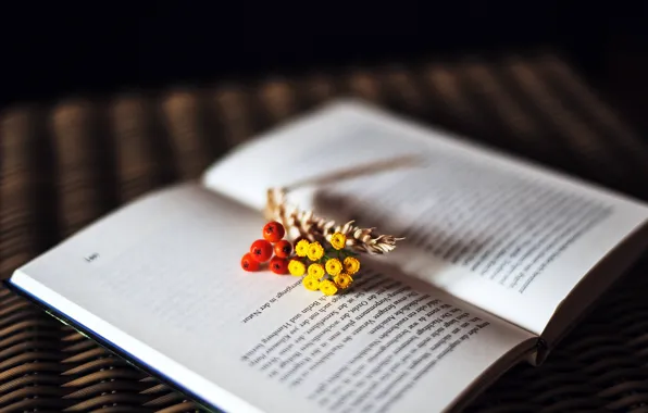 Flowers, text, berries, book, page, spike